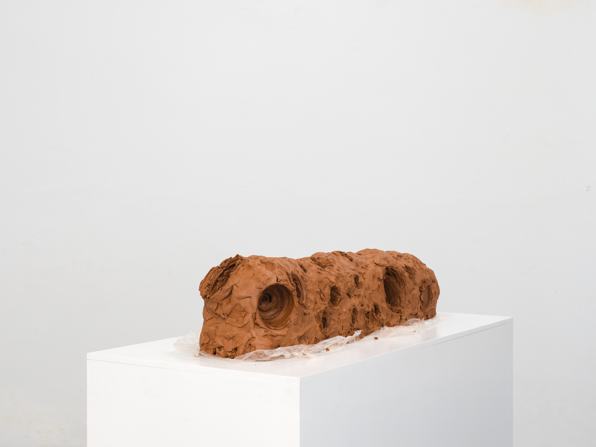 Obra de Ricardo Trigo