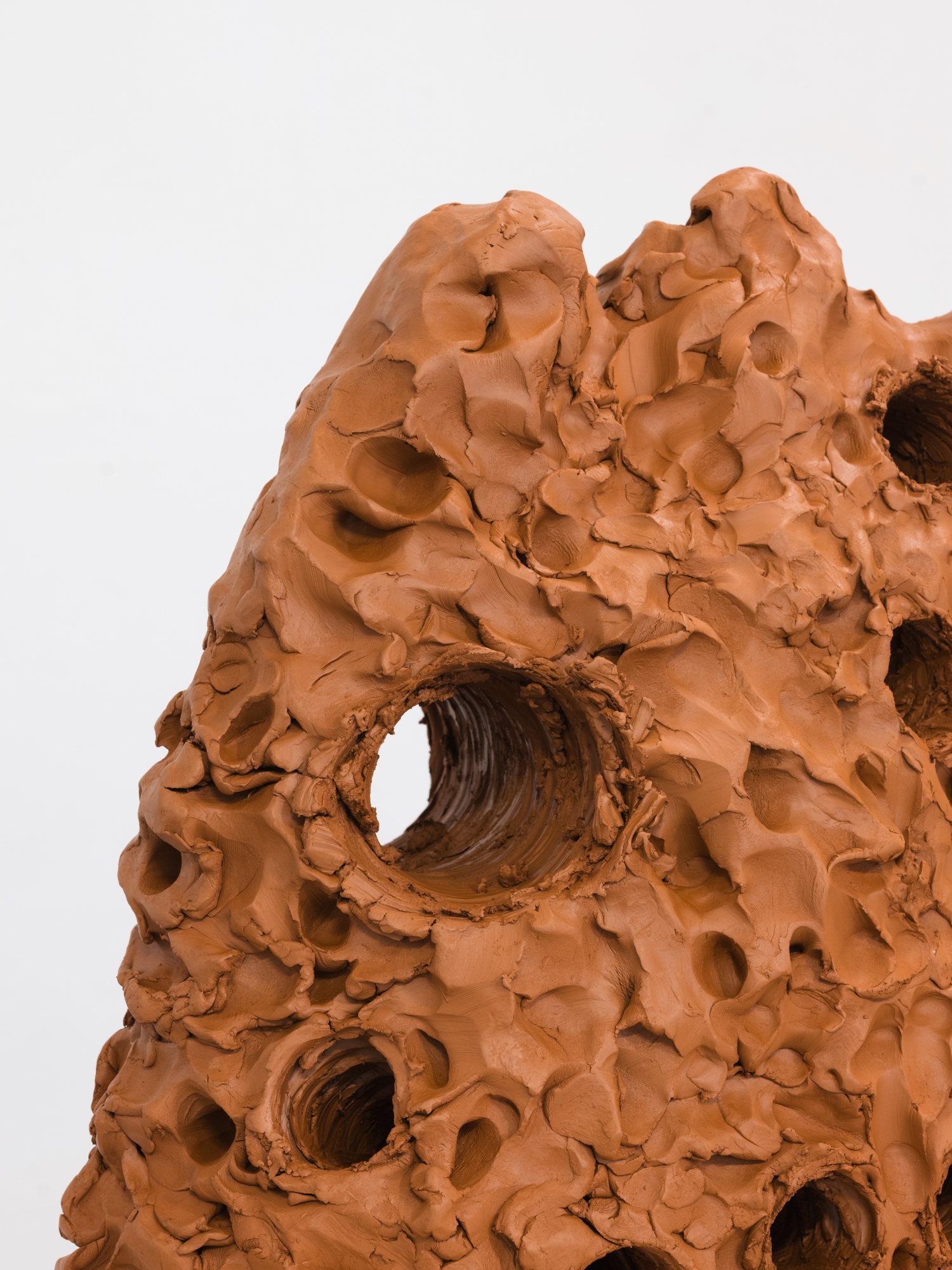 Obra de Ricardo Trigo