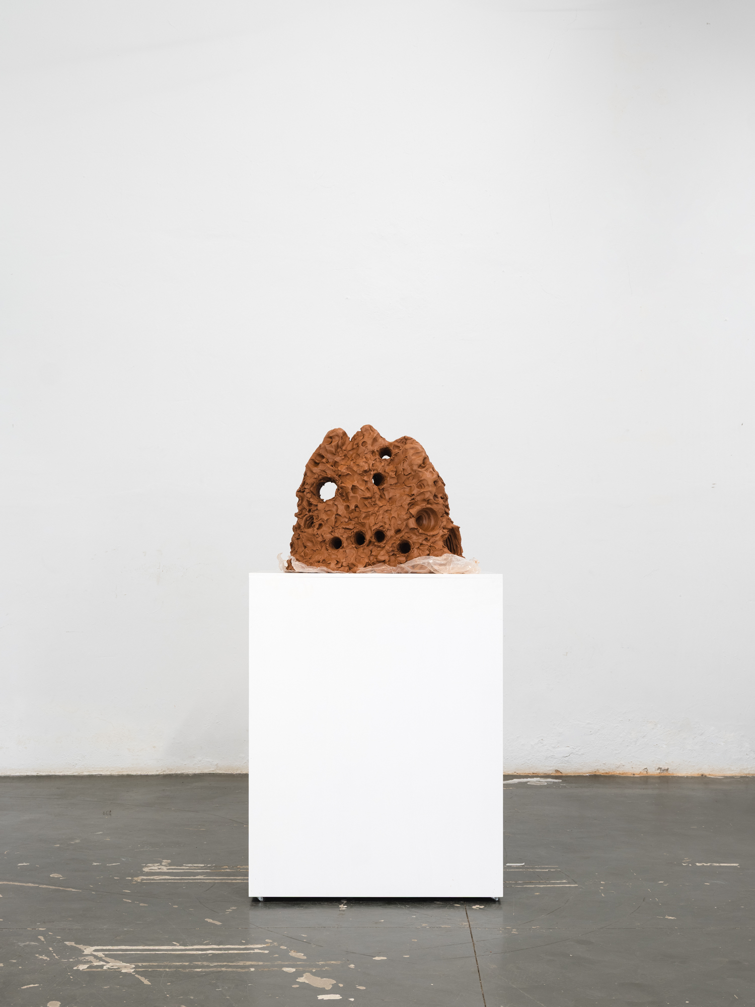 Obra de Ricardo Trigo