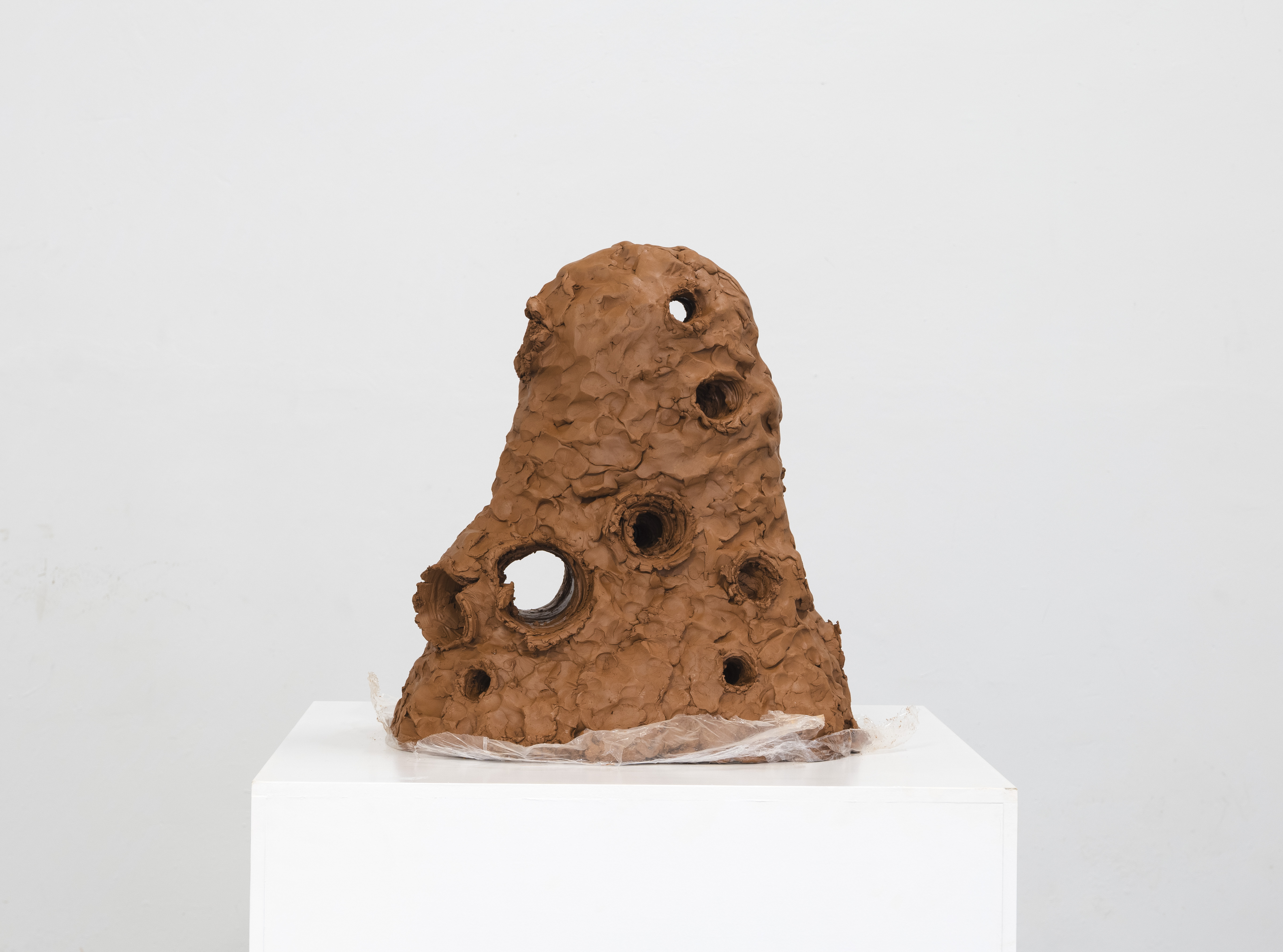 Obra de Ricardo Trigo