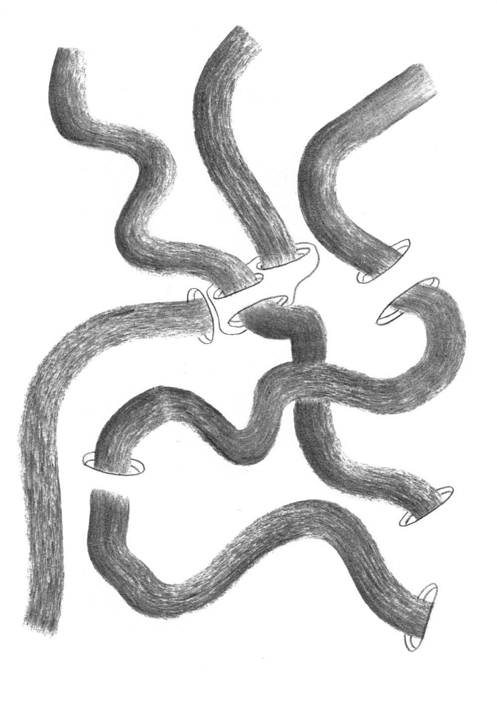 Obra de Ricardo Trigo