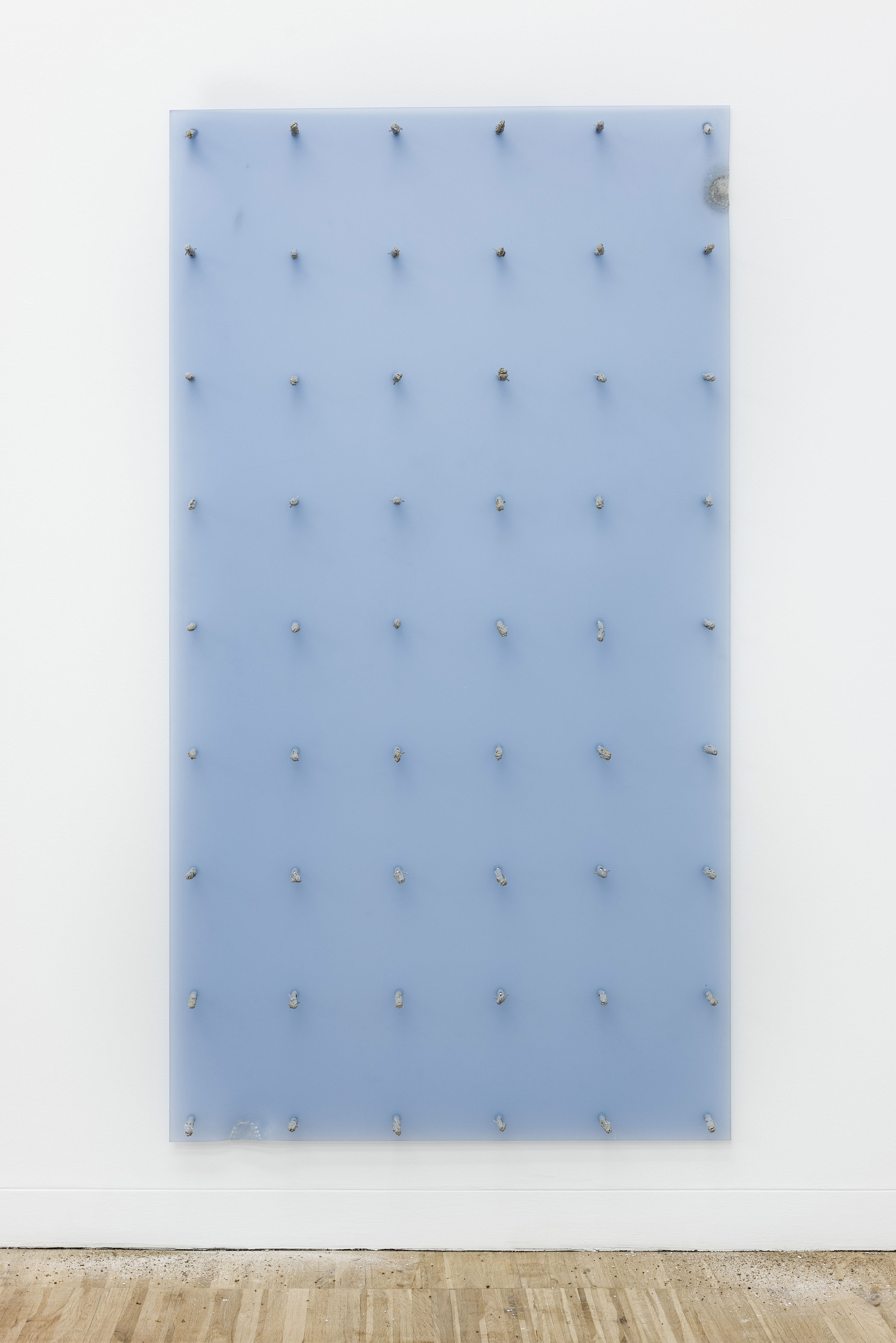 Serial Deduction No. 2, 2016 Bitten polymethyl methacrylate panel, bitten Fischer wall plugs, industrial screws and wall dust 175 x 95 cm